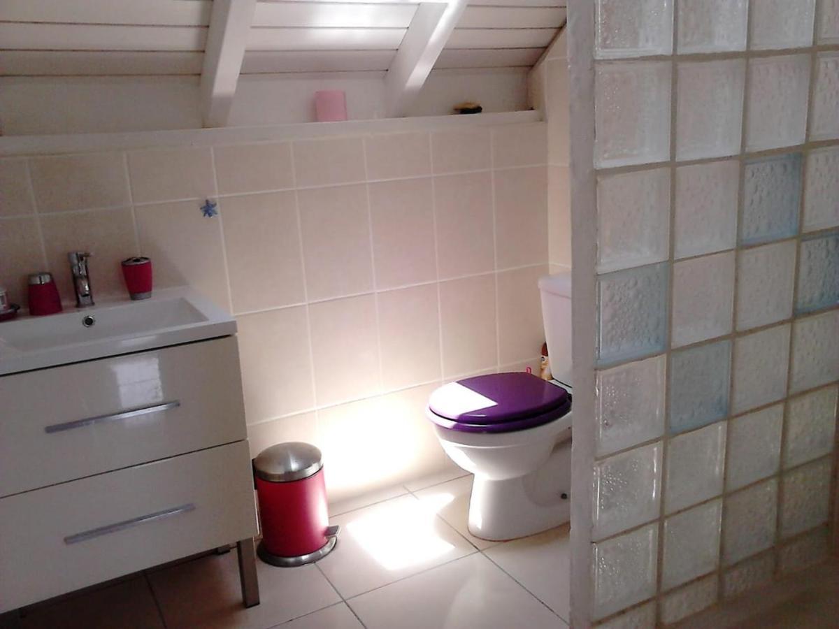 Studio 2- Laurier - 4 Pers - Proche Centre Terre-De-Haut Dış mekan fotoğraf